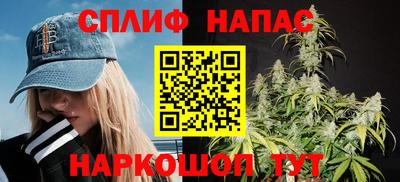 Альфа ПВП Можга