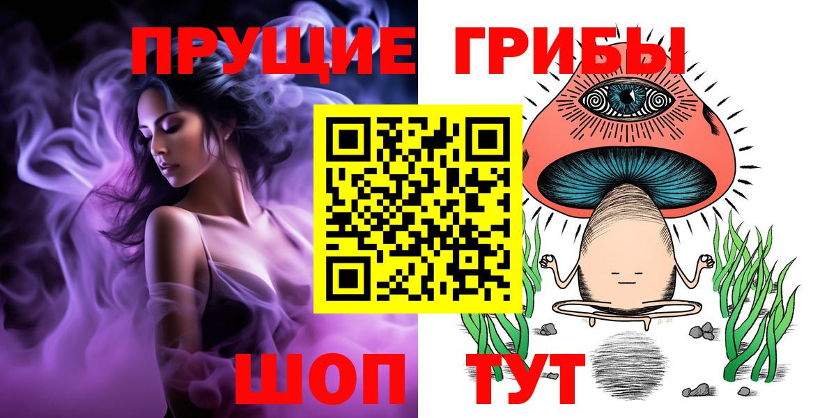 Псилоцибиновые грибы GOLDEN TEACHER  где найти наркотики  Канаш  Вход с VPN 