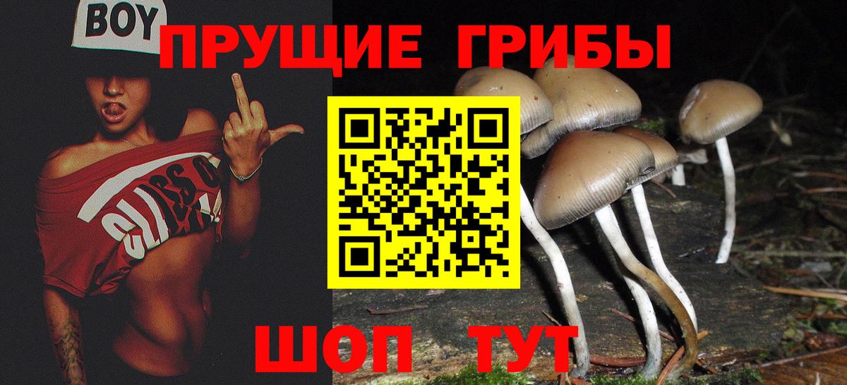 Галлюциногенные грибы прущие грибы Канаш